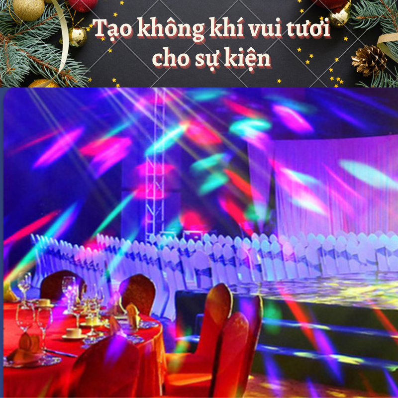 viet 5